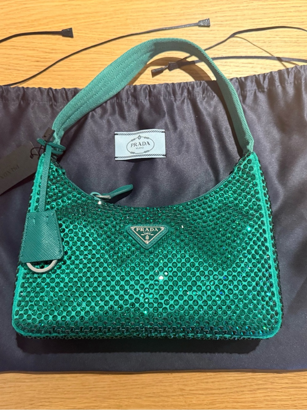 Prada Crystal Embellished Re-Edition 2000 in Green